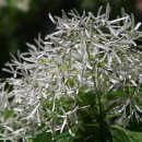 월곡역사공원 이미지