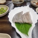 명품 세꼬시 물회 네이버블로그