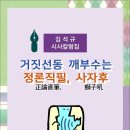 거짓선동 깨부수는 정론직필, 사자후 / 김석규 시사칼럼집 (전자책) 이미지