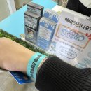 모슬포약국 | 제주도 이색체험 야생 돌고래 체험과 낚시까지 ! 데이트 코스 제주돌고래힐링투어 후기