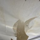 일산누수도배 고양 일산동 후곡마을3단지 누수도배 후기