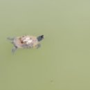 운암지수변공원 이미지