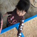 척산농장 이미지