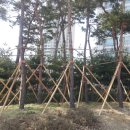 대경직업기술학원 네이버블로그