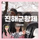 북원상가시장 | 2024 진해 군항제 벚꽃여행 여좌천 로망스다리 경화역 투어