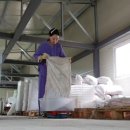 함양톱밥 이미지