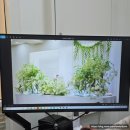 새마을회빌딩 | 수원 돌잔치 준비 1편 | 돌잔치 예약시기? 플로렌스 파티하우스 방문상담 후기