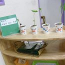 몬테소리유치원 이미지