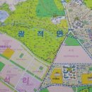 부동산일번지공인중개사사무소 이미지