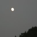 남교체육관 이미지