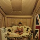 정글돔풀빌라 앤 글램핑 이미지