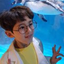 제이엠(JM)엔터테인먼트 이미지
