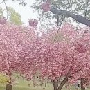 쓰임과 통찰, 사주명리 | 🔮 [광교사주 해인 사주타로] 수원타로로 알아본 나의 운세, 힐링과 통찰의 시간