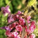 효정민박 이미지