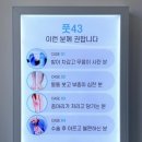 사하풋 이미지