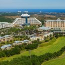 대명애견 이미지