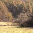 장군목장 이미지