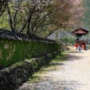 NR-17[완주로]-상-168 | 사찰트레킹 - 전북 완주 송광사