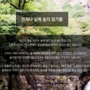(주)숲에온 이미지