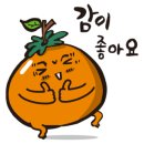 가야경 이미지