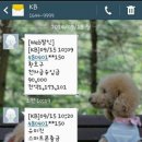 와이뮤