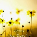 오늘도건강