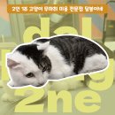 달봉이네 대연점 이미지