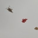 소립에너지 네이버블로그