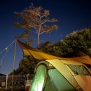 포레스트G1 이미지