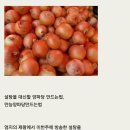 양파당 만드는 법 이미지