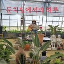 나의 참새방앗간 강서구 둔치도 금빛 노을/둔치도 류 셰프와 약제 반계탕&amp;둔치 국수/라니의 정원