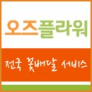 화이트데이 선물 오즈플라워와 함께하세요♥