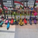 새뜰유치원 이미지