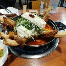 2023 내돈내산 제주도 3탄