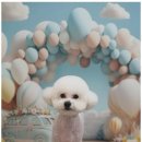 블랑드펫 이미지