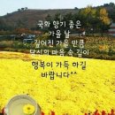 10월17일 오늘도 화이팅입니다 &뉴스 이미지