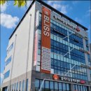 블리스50 이미지