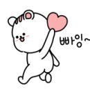 알비티레인보우 투어 이미지