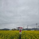 자전거 전용 표지판 | 경남 거창 유채꽃밭 · 대평리 자전거 교통안전교육장 - 정원희 기자