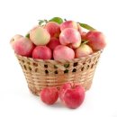 신덕상회 이미지