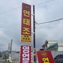 연태조