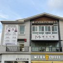 메르시엠 | [순천 호수공원 미용실]메르시엠 헤어, 레이어드펌 추천 솔직후기