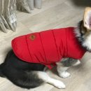 차니레드
