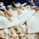 (상반기)인생의 사계절을 만나다 | 명품침대추천 히프노스를 만나다.