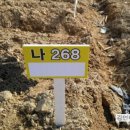 씨돌농장 이미지