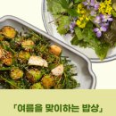 밥이보약 이미지