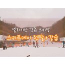 엘리시안강촌스키투데이렌탈샵 이미지