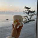 해돋이카페 - 울주군 간절곶해안길 3 | 새해 해돋이 카페, 울산 호피폴라 후기