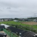 박달재식당 네이버블로그