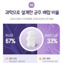 데일리얌얌 이미지